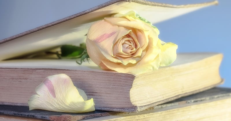 Crawl et indexation : comprendre le parcours d'une page