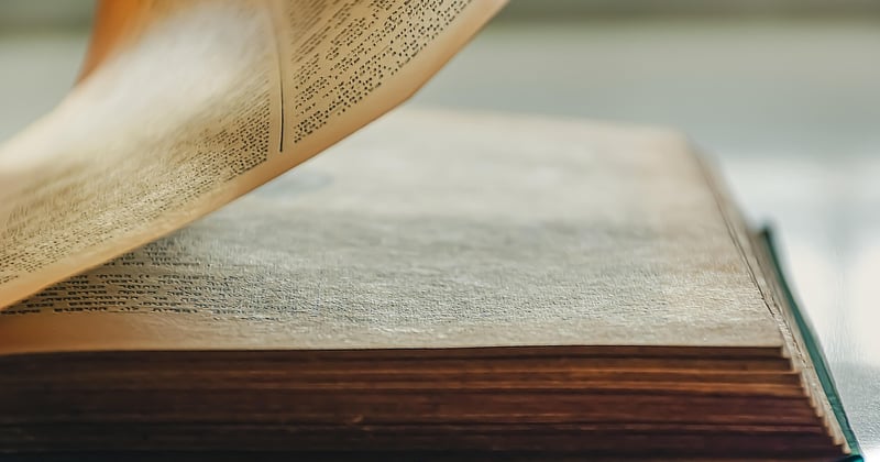 SEO on-page vs SEO off-page : quelles différences pour bien se positionner